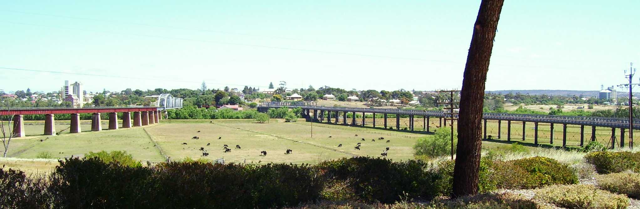 Murray Bridge's Road and Railway Bridges .. aross the River Murray